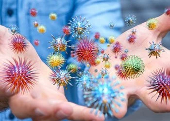 Вирусы вызывающие ОРЗ