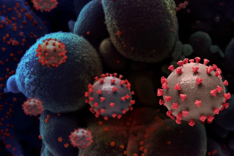 Как дать отпор современным вирусам?